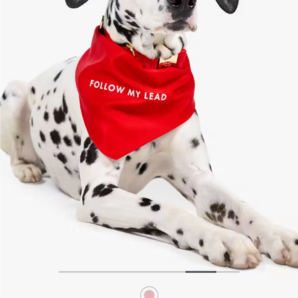 Kate Spade Red Dog Bandana with 'Follow My Lead'